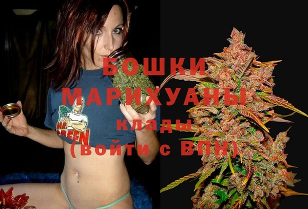 МДПВ Вяземский
