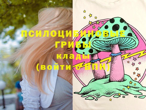 МДПВ Вяземский