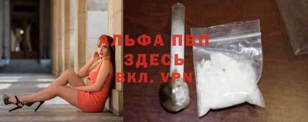 МДПВ Вяземский