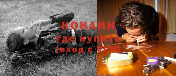 МДПВ Вяземский