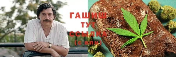 МДПВ Вяземский