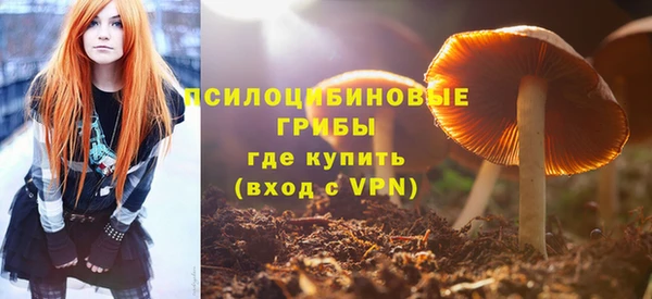 прущая мука Вязники