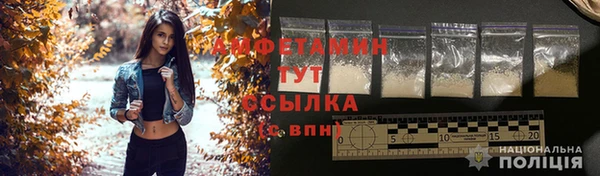МДПВ Вяземский