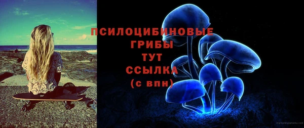 МДПВ Вяземский